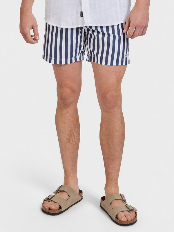 Board Shorts Ash Stripe