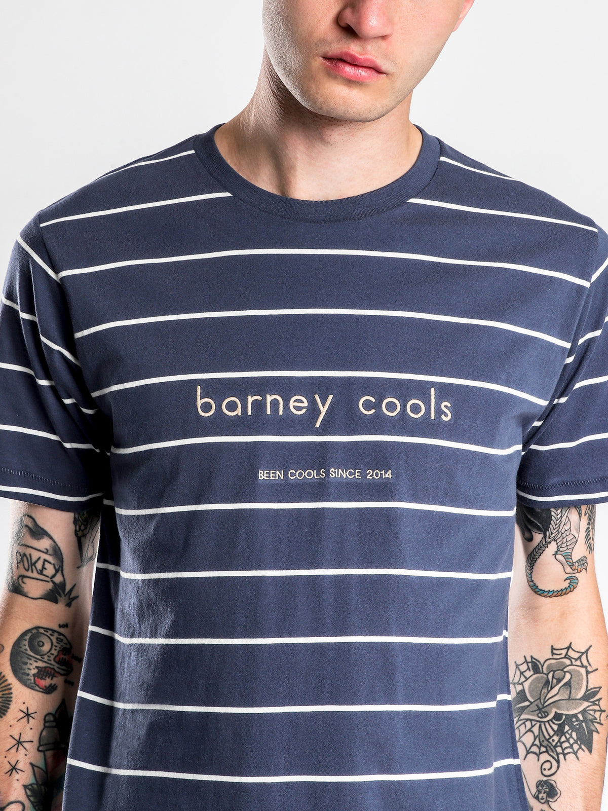 Barney Cools T-Shirt in Navy Stripe