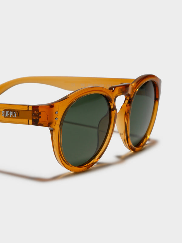 Local supply BNE Polarized Sunglasses in Gloss Beige Glue Store