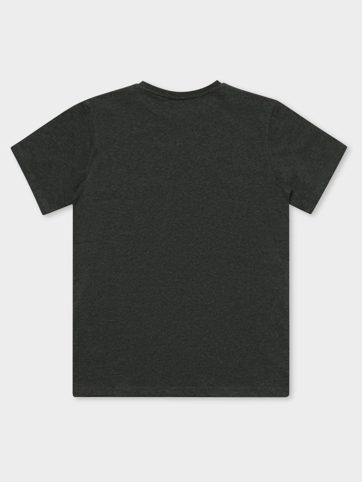 Albany T-Shirt in Dark Grey
