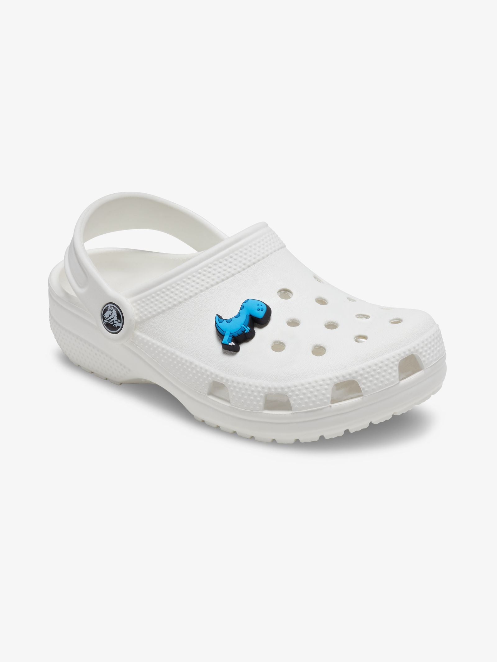 Boys Rule Blue Dino