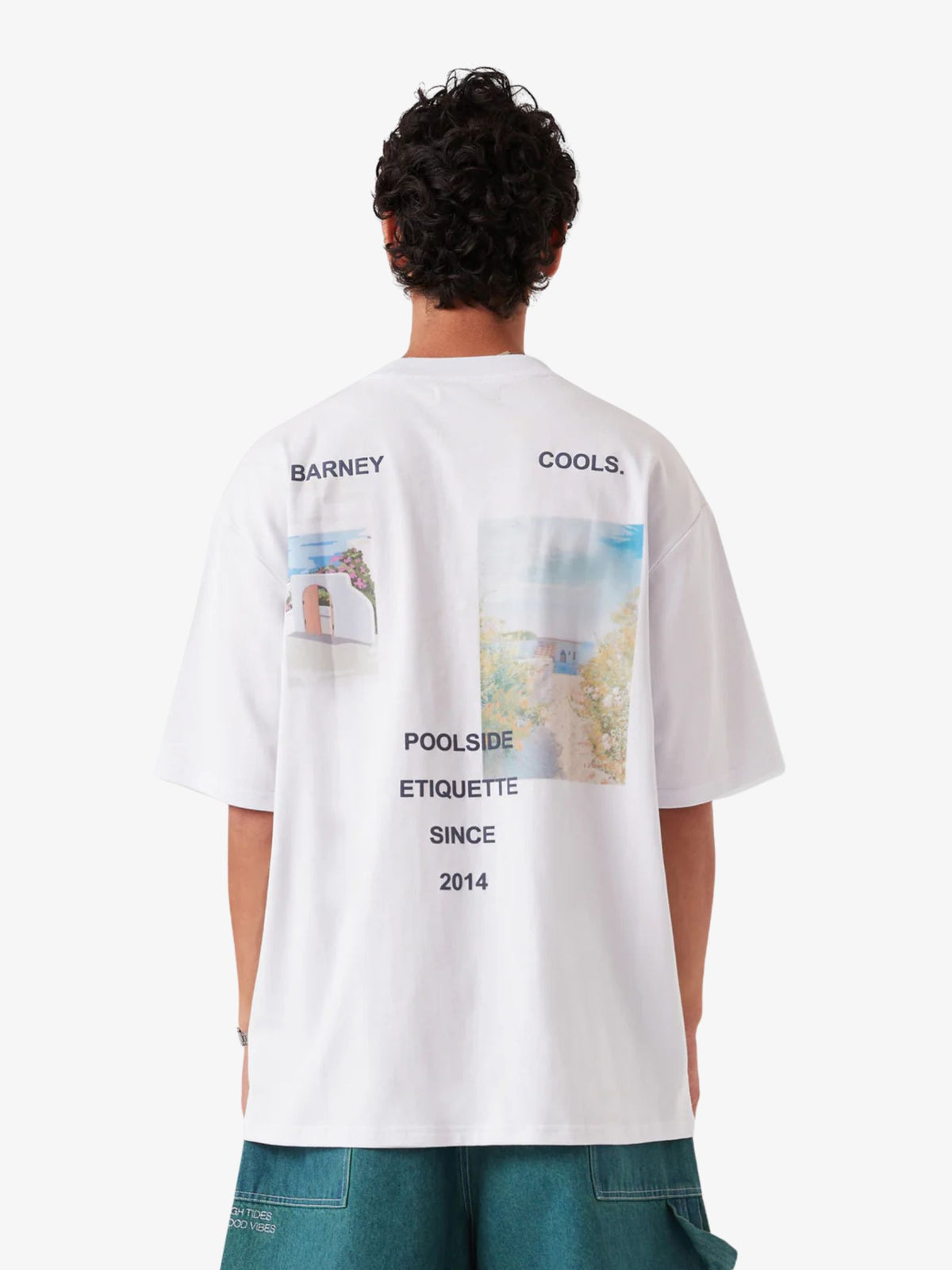 Barney Cools Scenic Tee | White