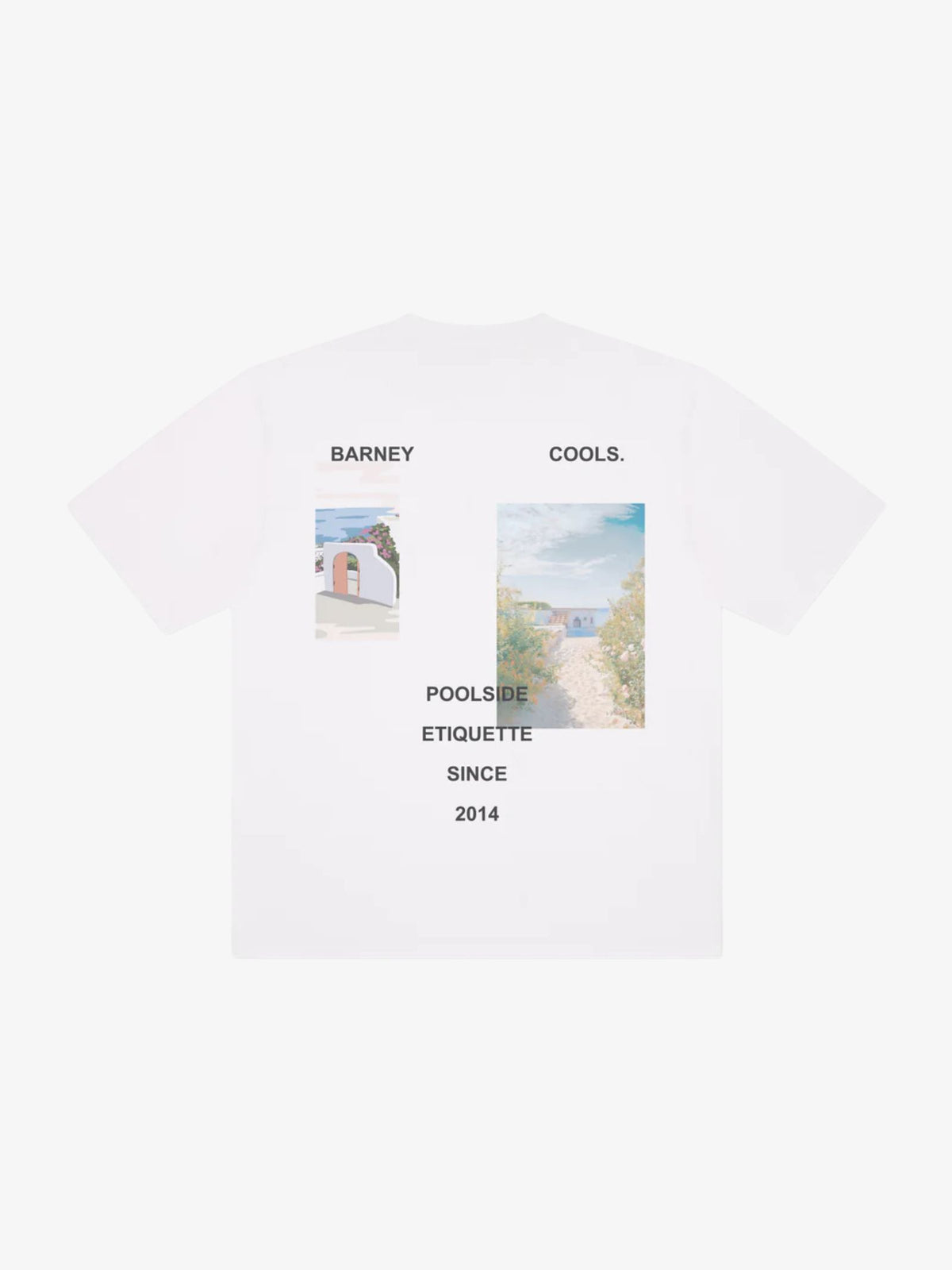 Barney Cools Scenic Tee | White