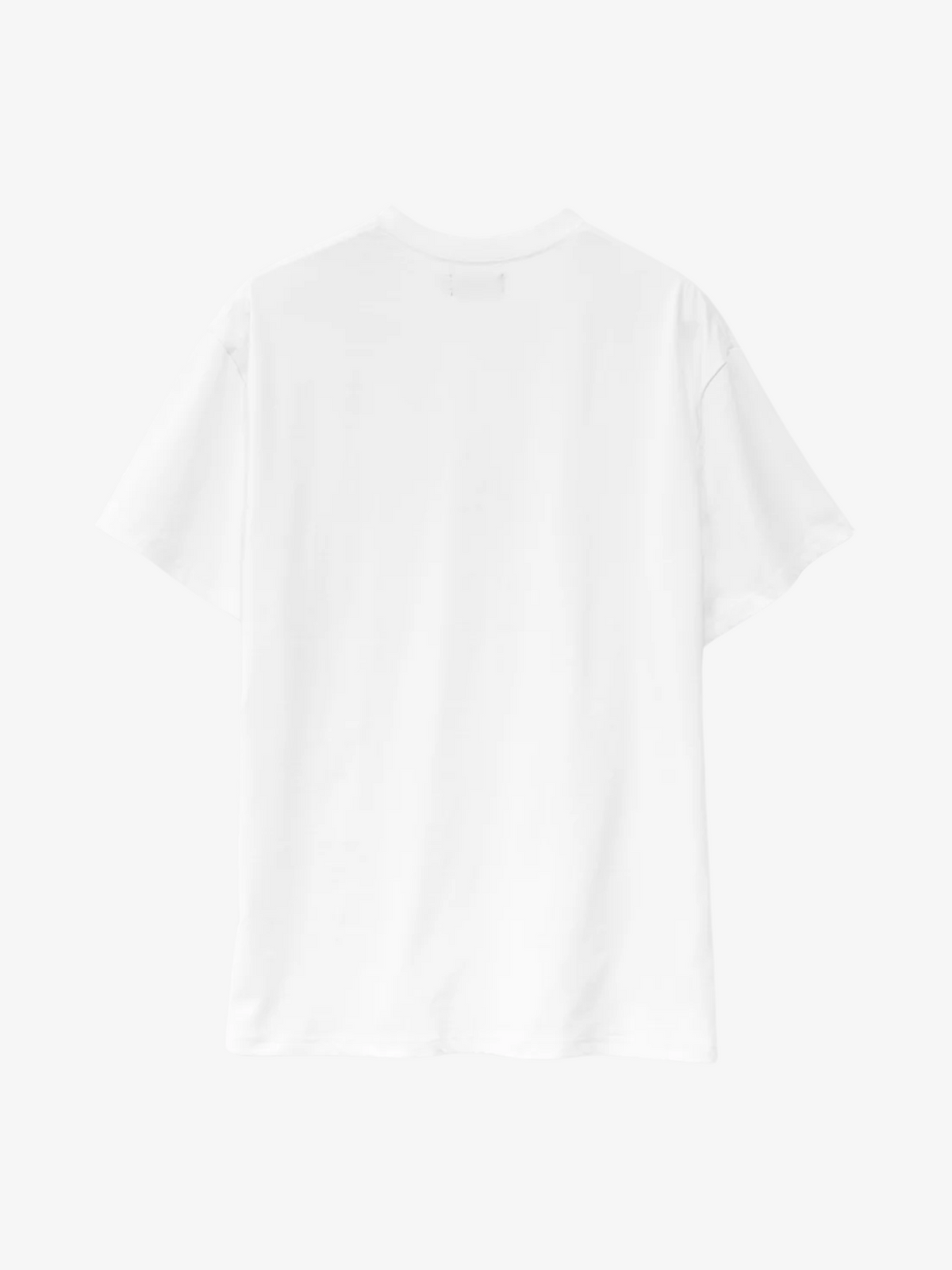 Xlarge Frog SS Tee | White