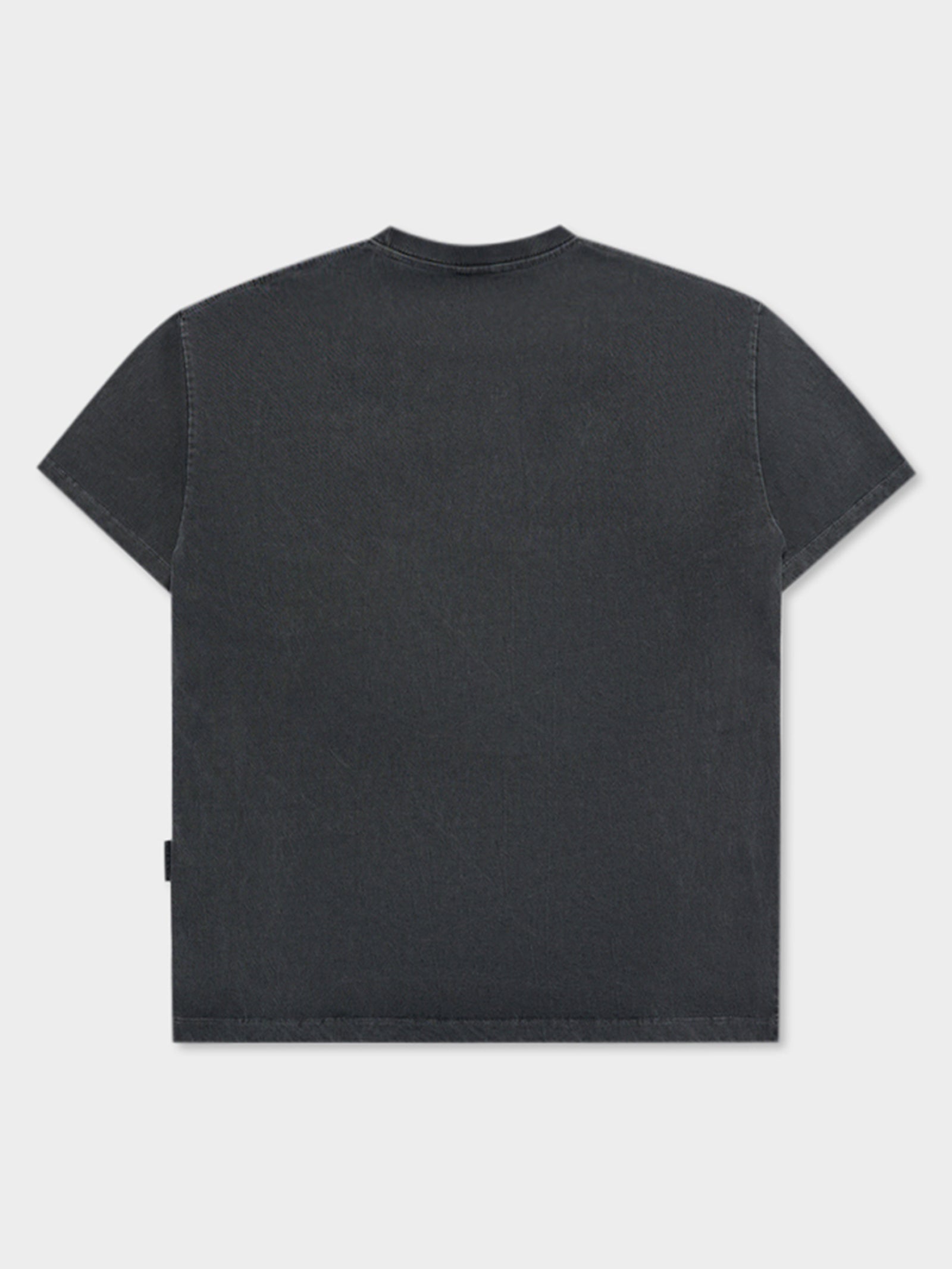 Bear Applique Washing Tee