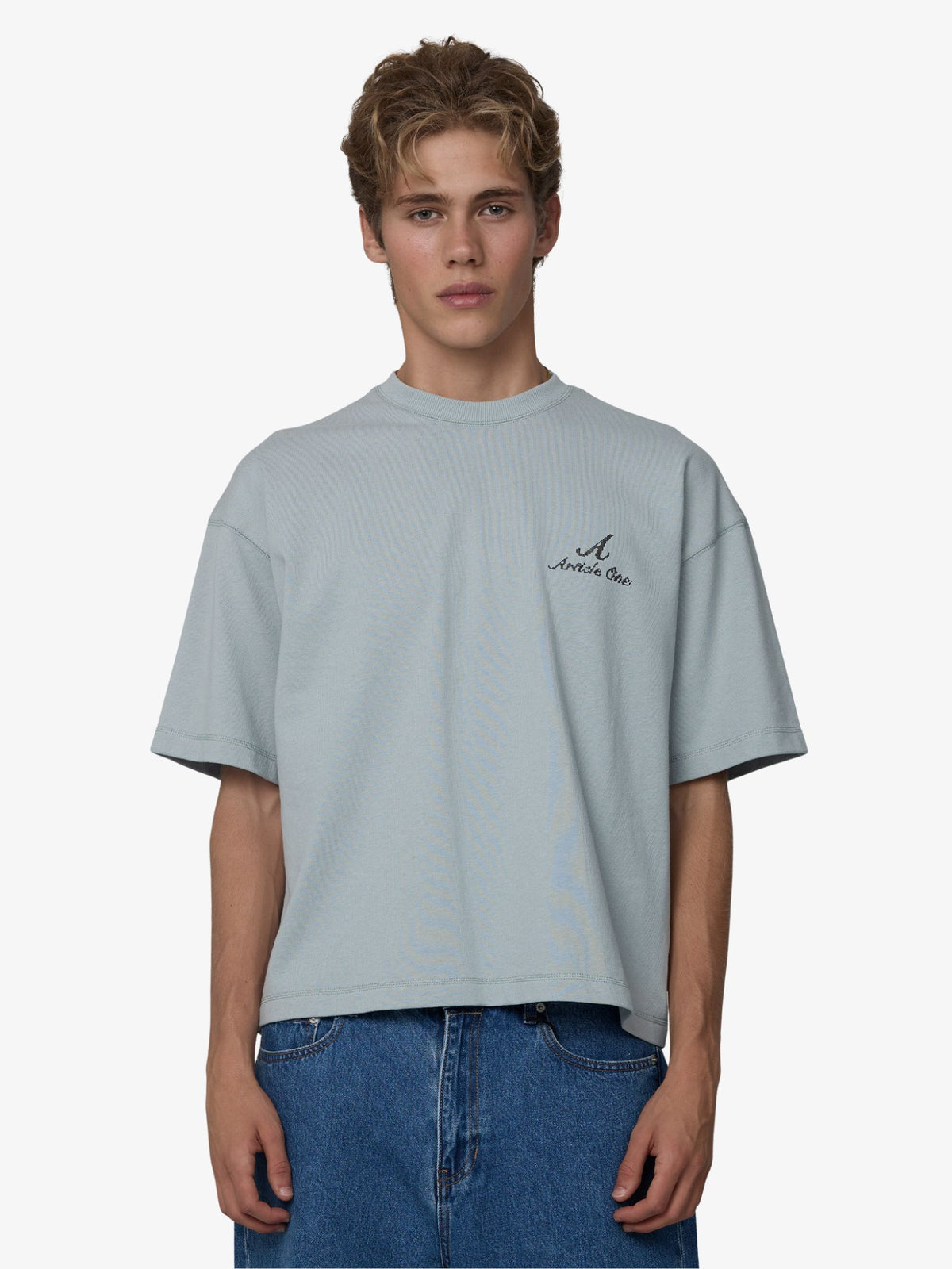 Article One Needle Point Tee | PALE BLUE