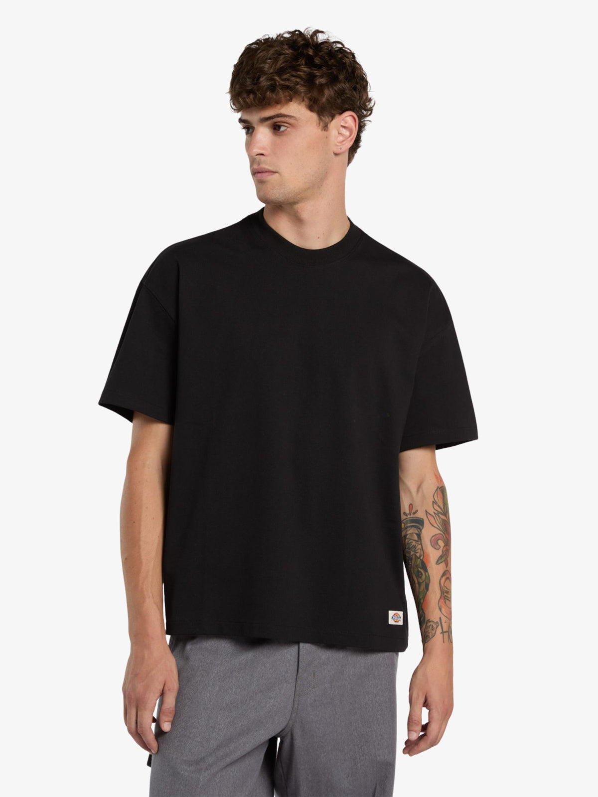 Dickies Mineral Heavy Weight Tee | Mineral
