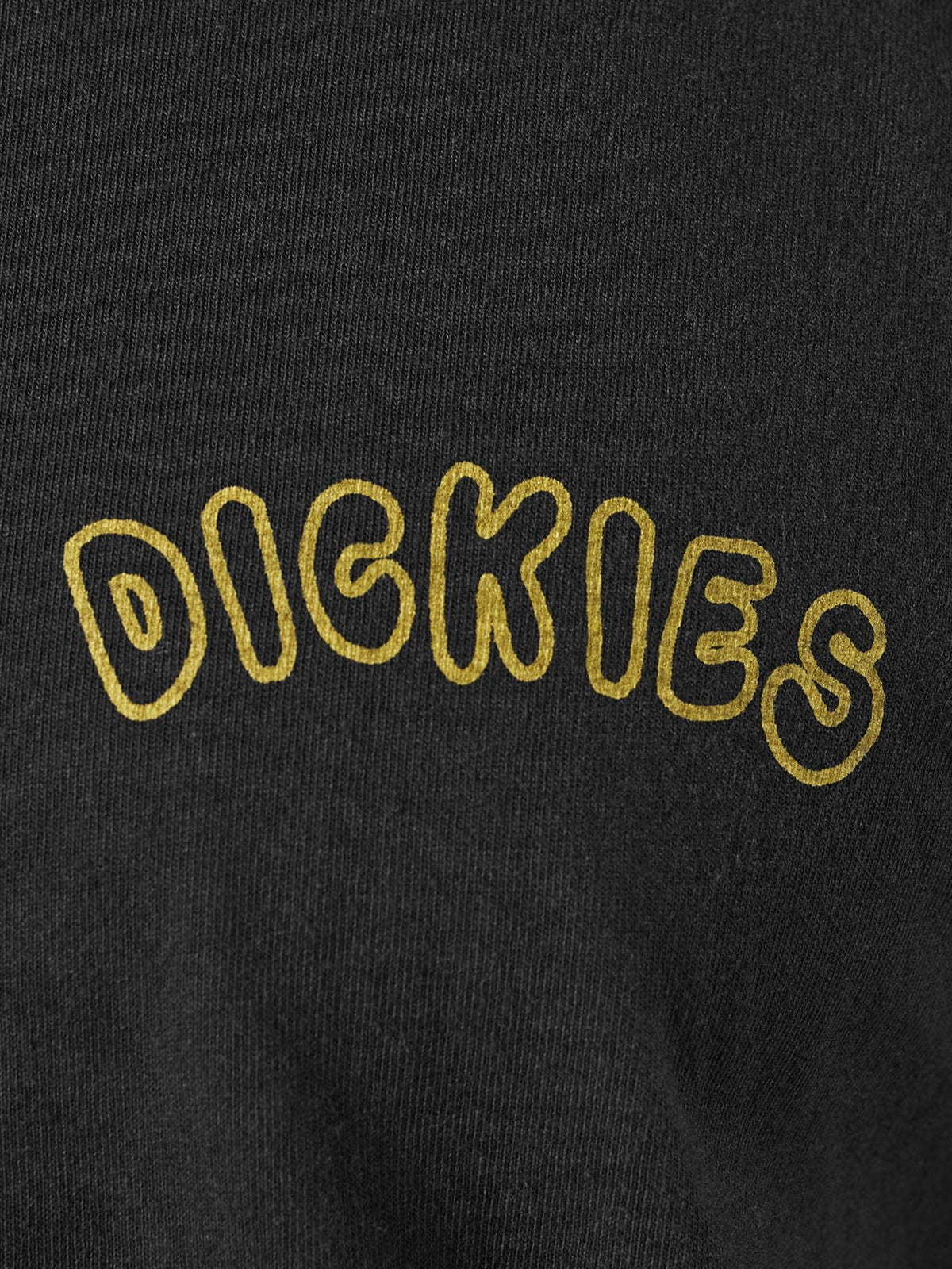 Dickies Decartuville Tee | Black