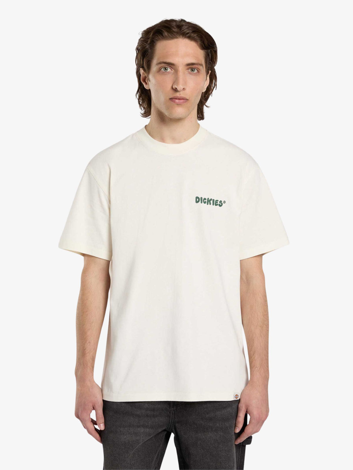 Dickies Gordonsville Tee | Egret