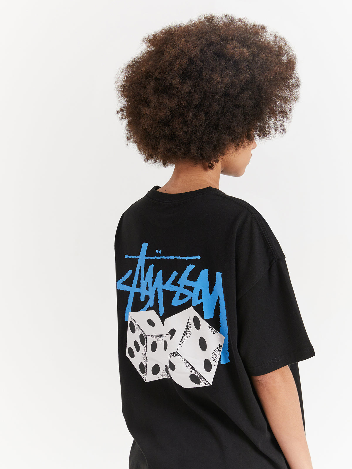 Stussy Pair Of Dice Heavyweight Relaxed T-Shirt | Black