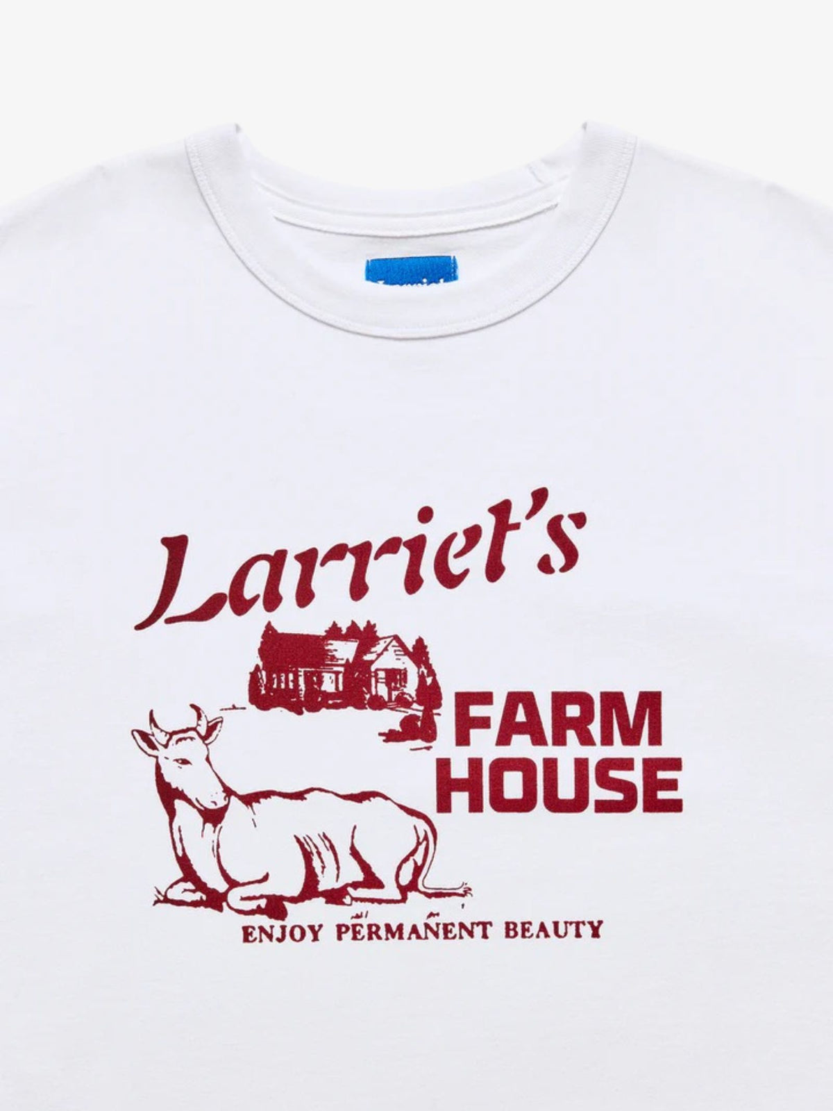 Larriet Farmhouse Tee | White