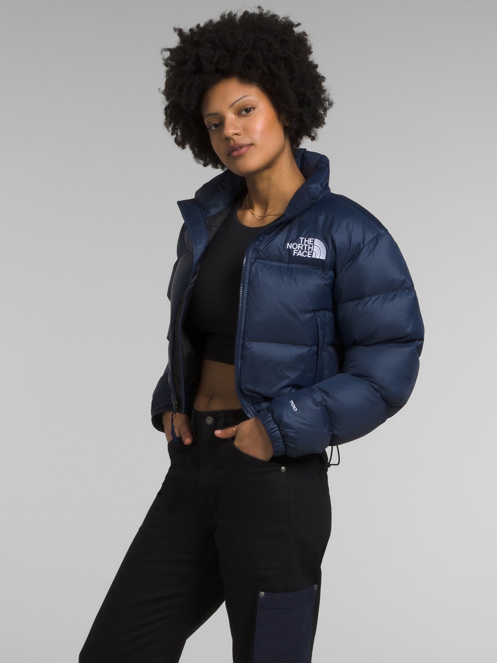 Parka Navy North Face Jacket Womens Nuptse North Face Navy Parka