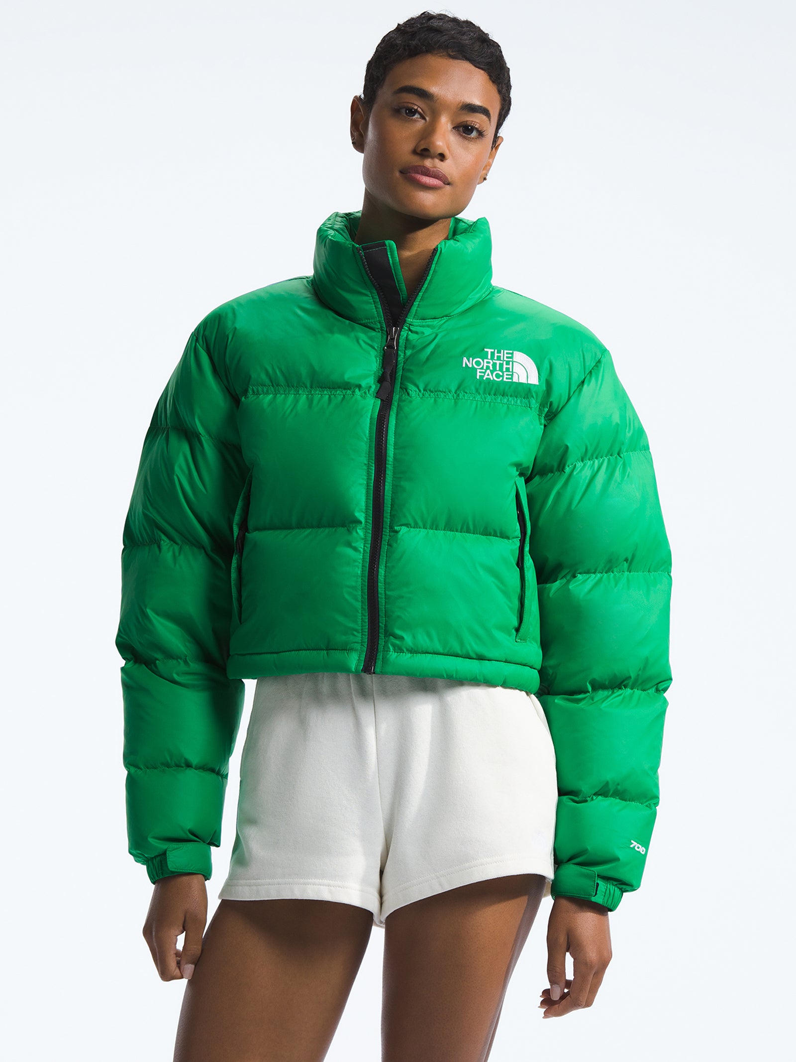 The North Face 1996 Retro Nuptse Short Jacket The North Face Retro