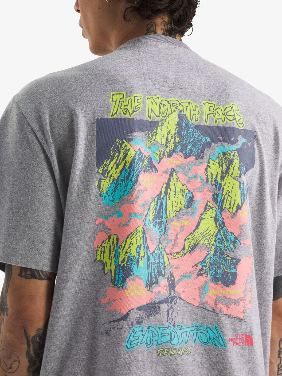 The North Face Men's TNF Essential Expedition Series Tee | Grey