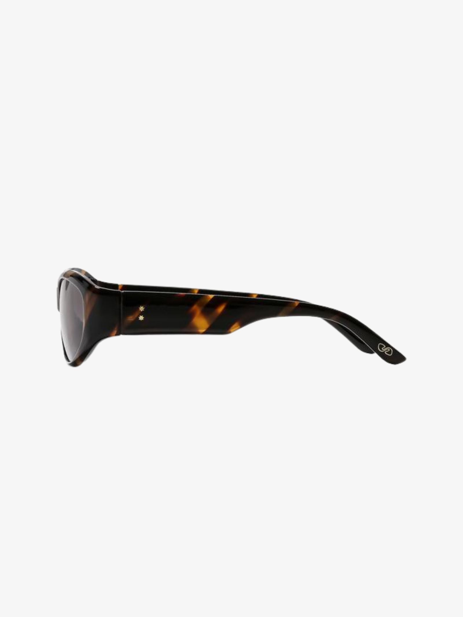 Brooks Sunglasses