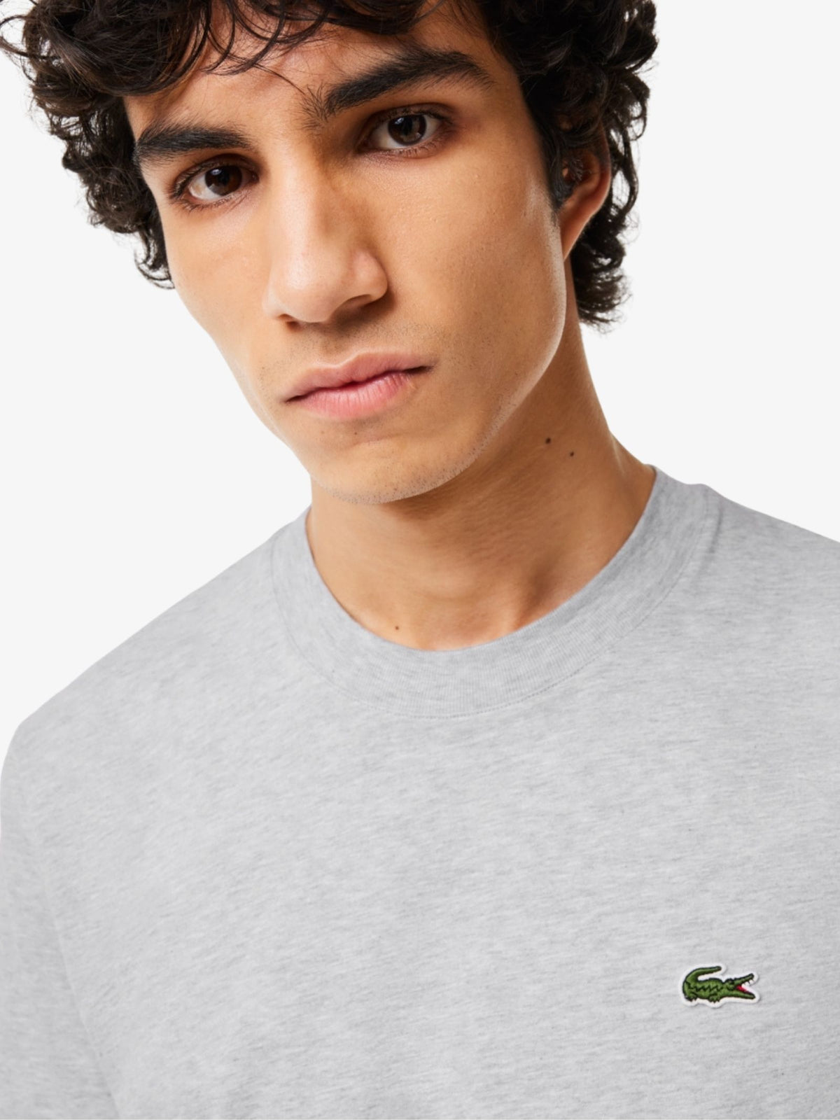 Lacoste Essential Classic Fit T-Shirt | Silver
