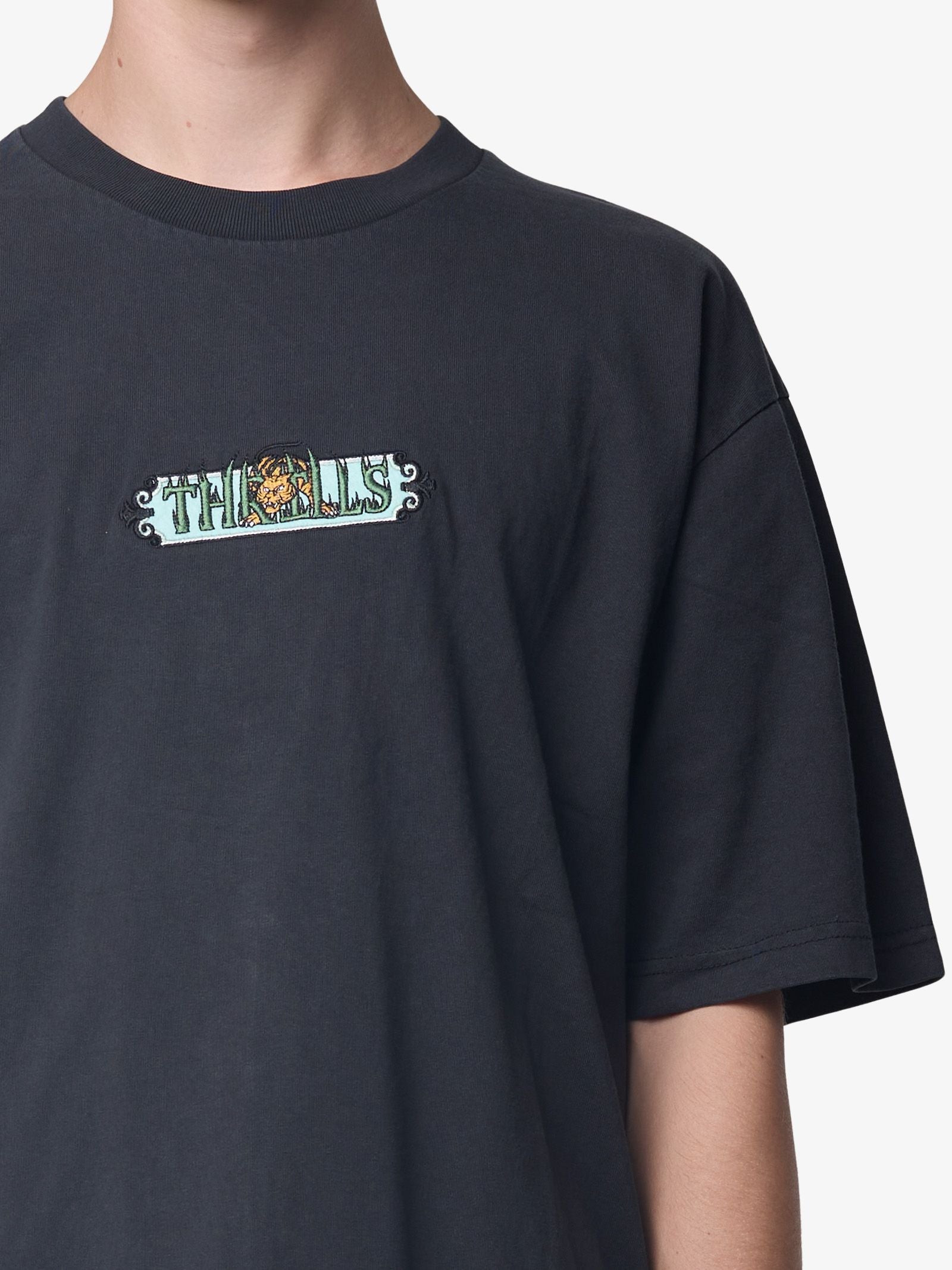 Eyes In The Grass Oversize Tee