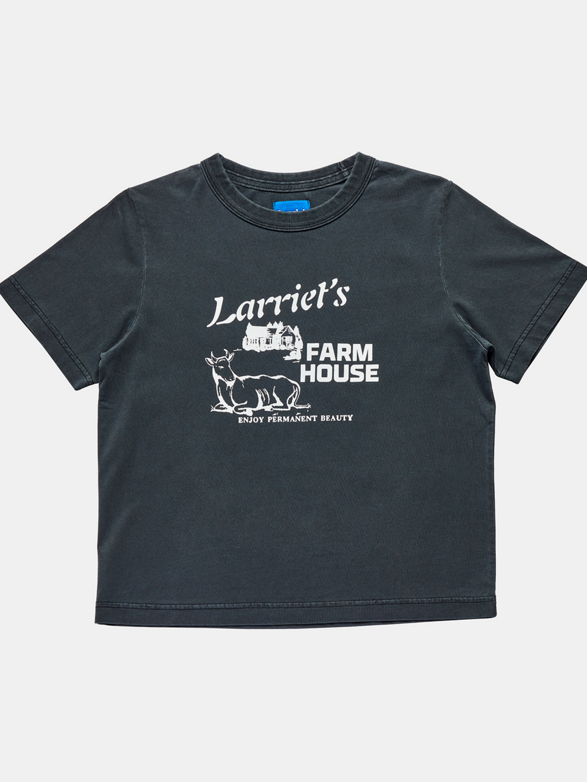 Larriet Farmhouse Tee | Used Black
