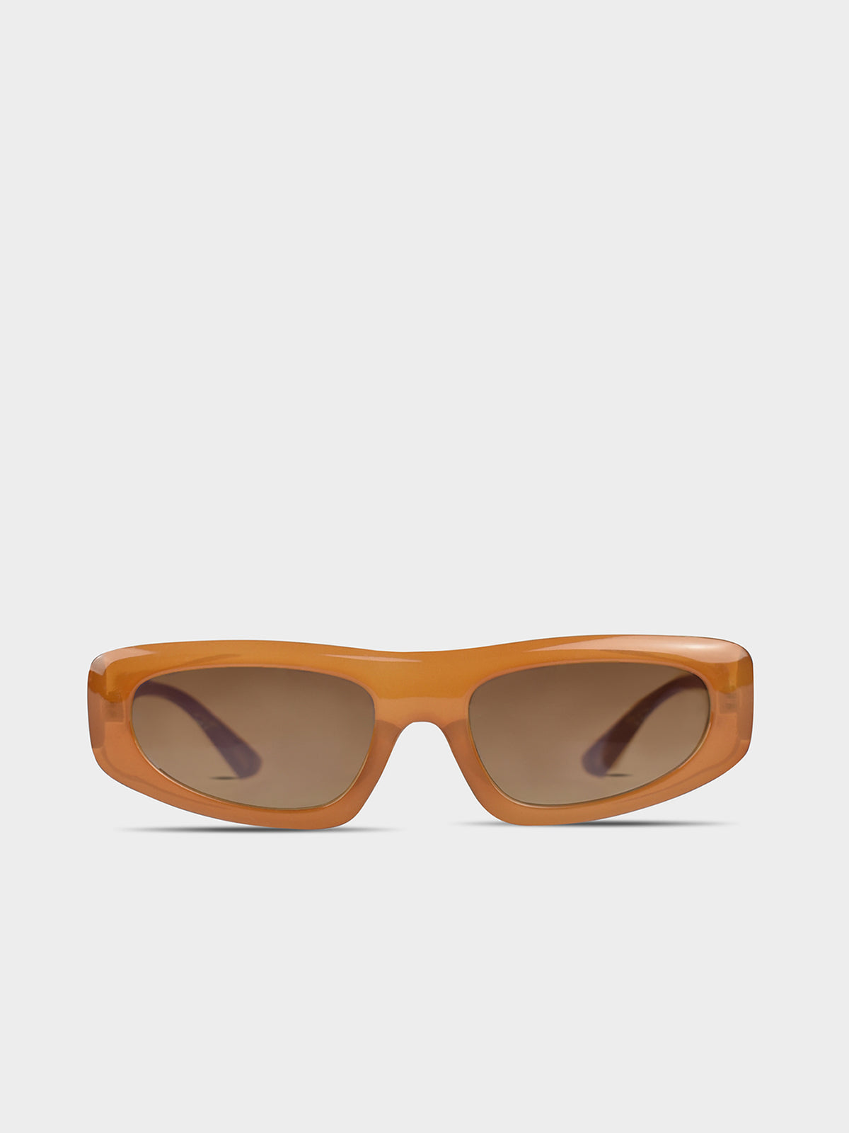 Dexter Sunglasses in Toffee