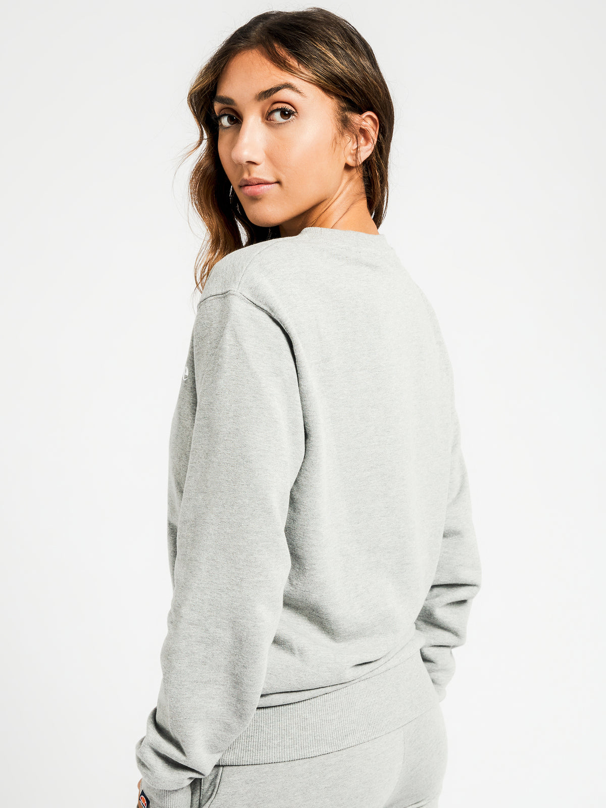 Triome Crew Sweater in Grey Marle