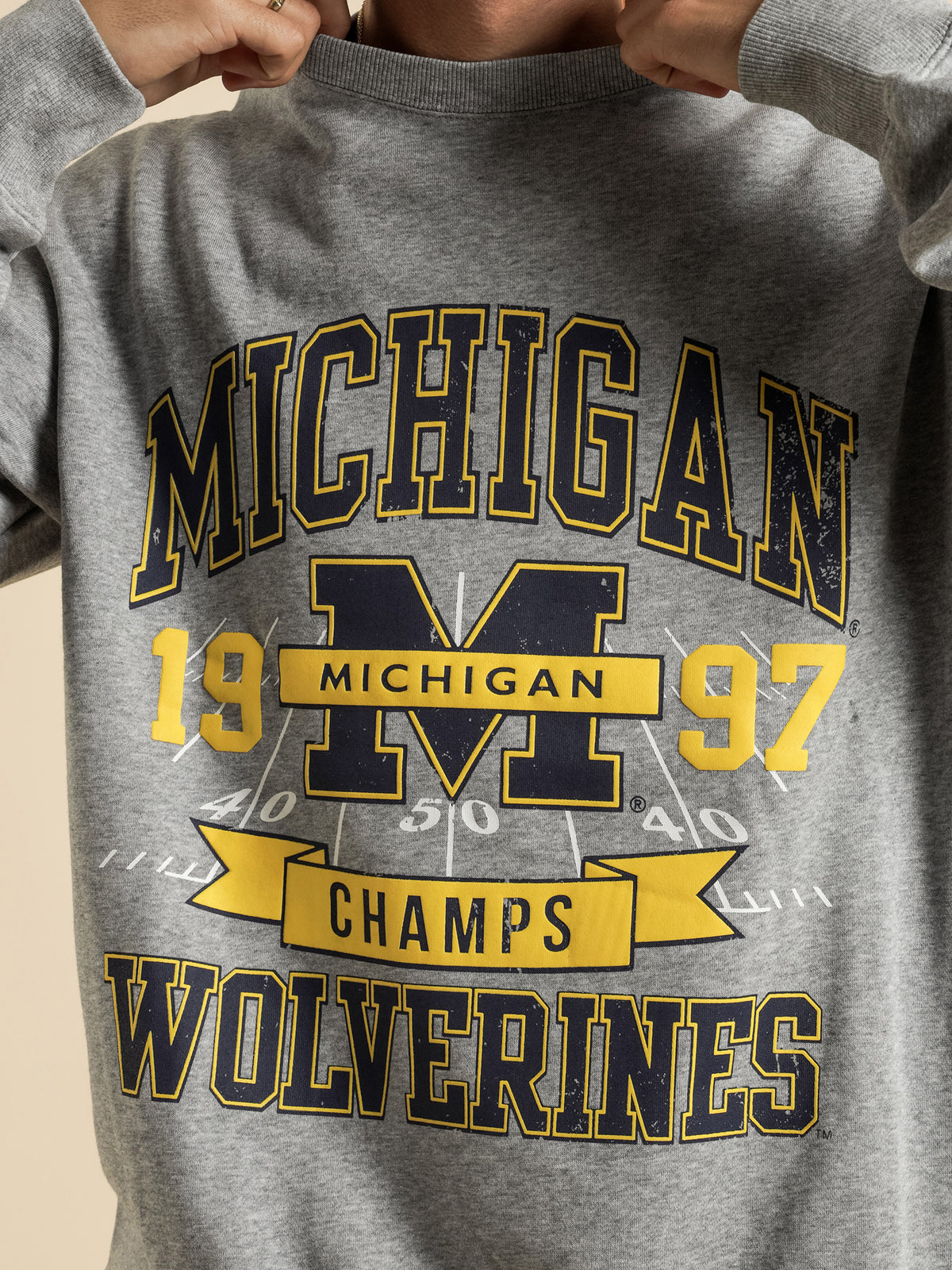 Vintage 90s Michigan Champs in Grey Marle