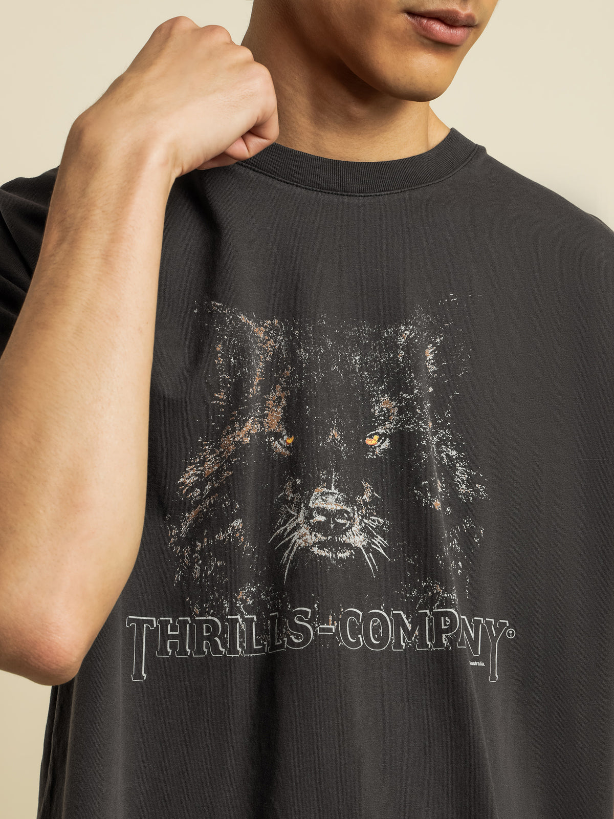 States Of Wolf T-Shirt in Vintage Black