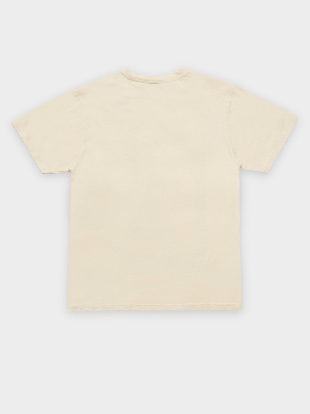 Destroyer T-Shirt in Ivory