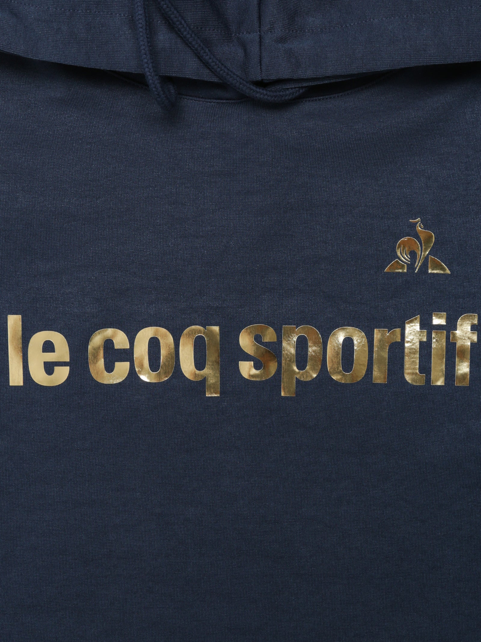 Roissy Foil Hoodie - Main Image