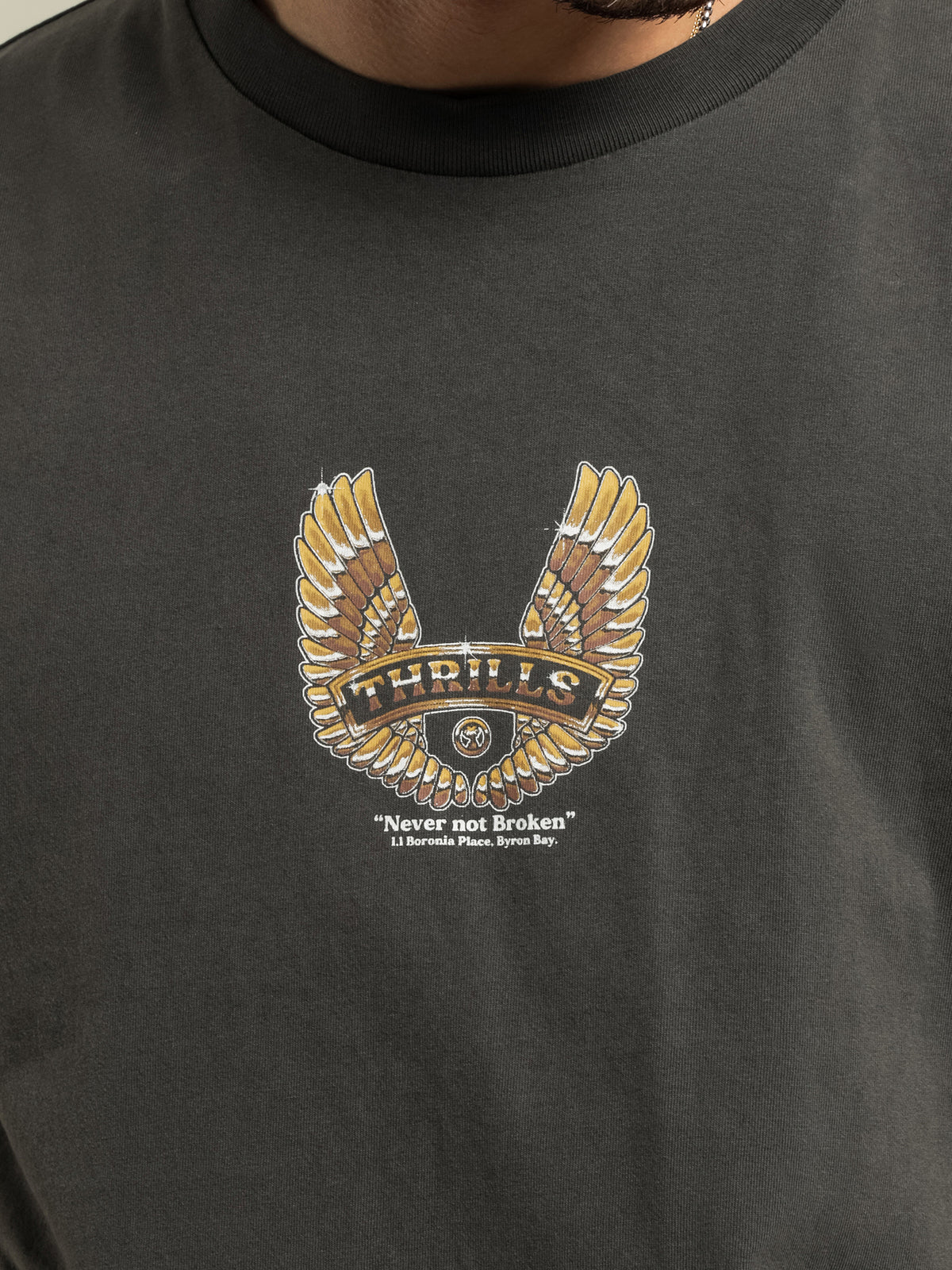Wings Of Steel T-Shirt in Black