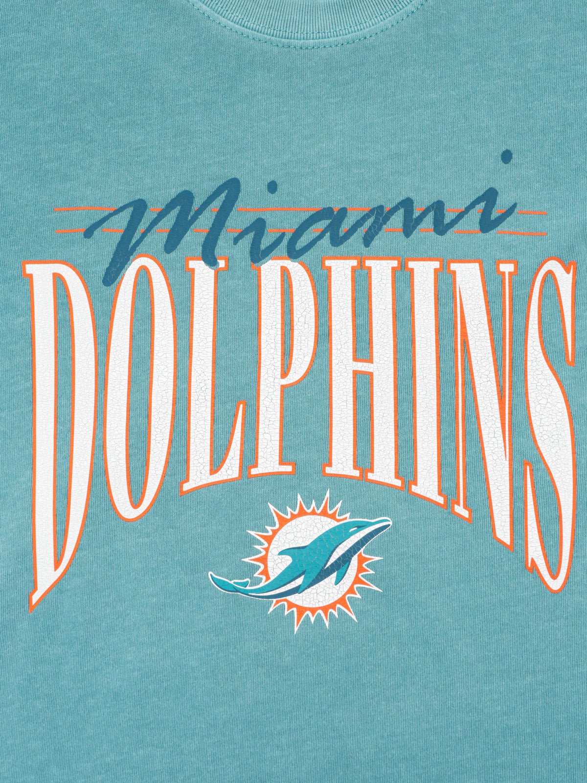 Vintage Arch Boxy Dolphins T-Shirt in Tonic Turq