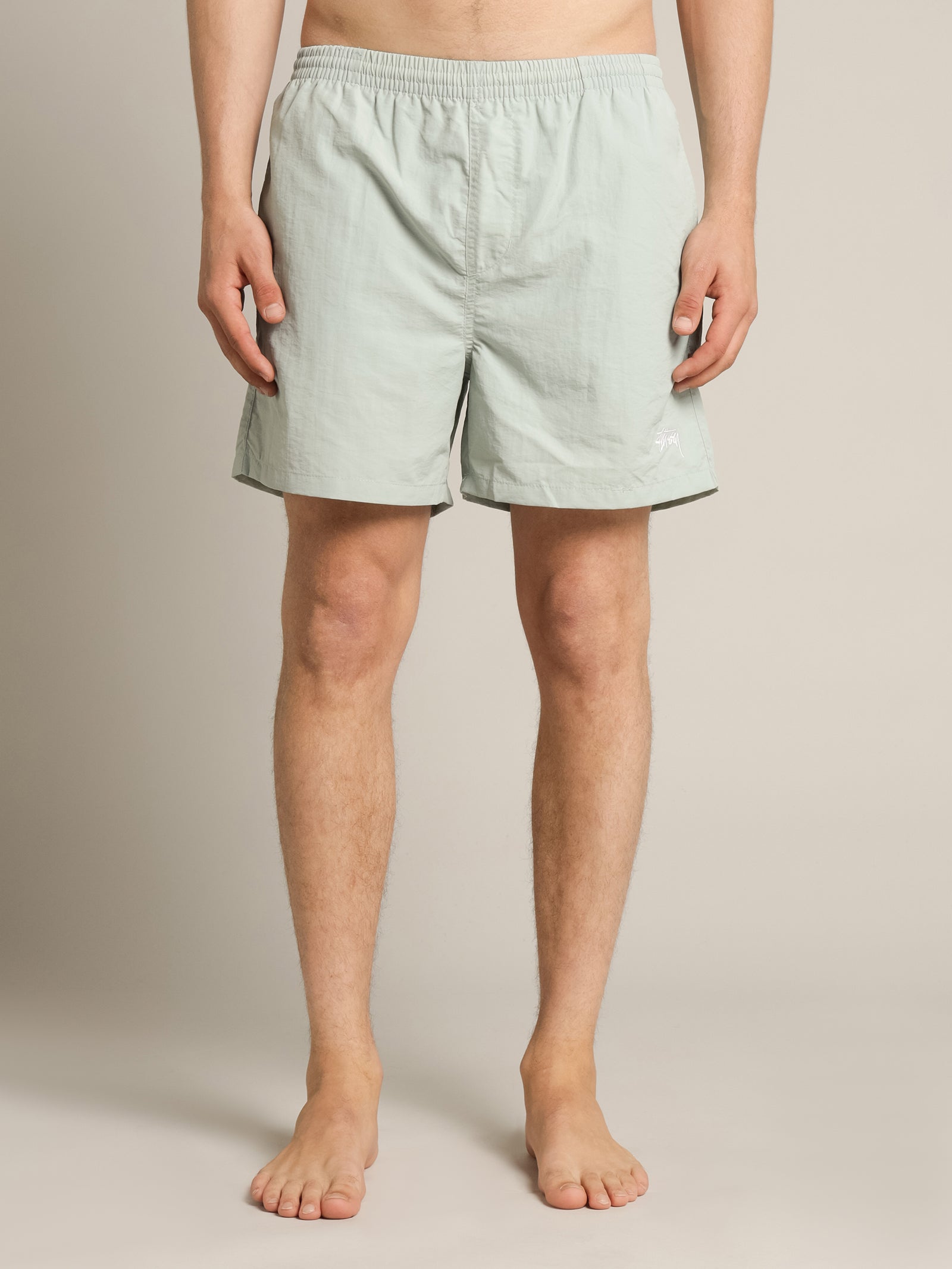 Water Big Beachshort