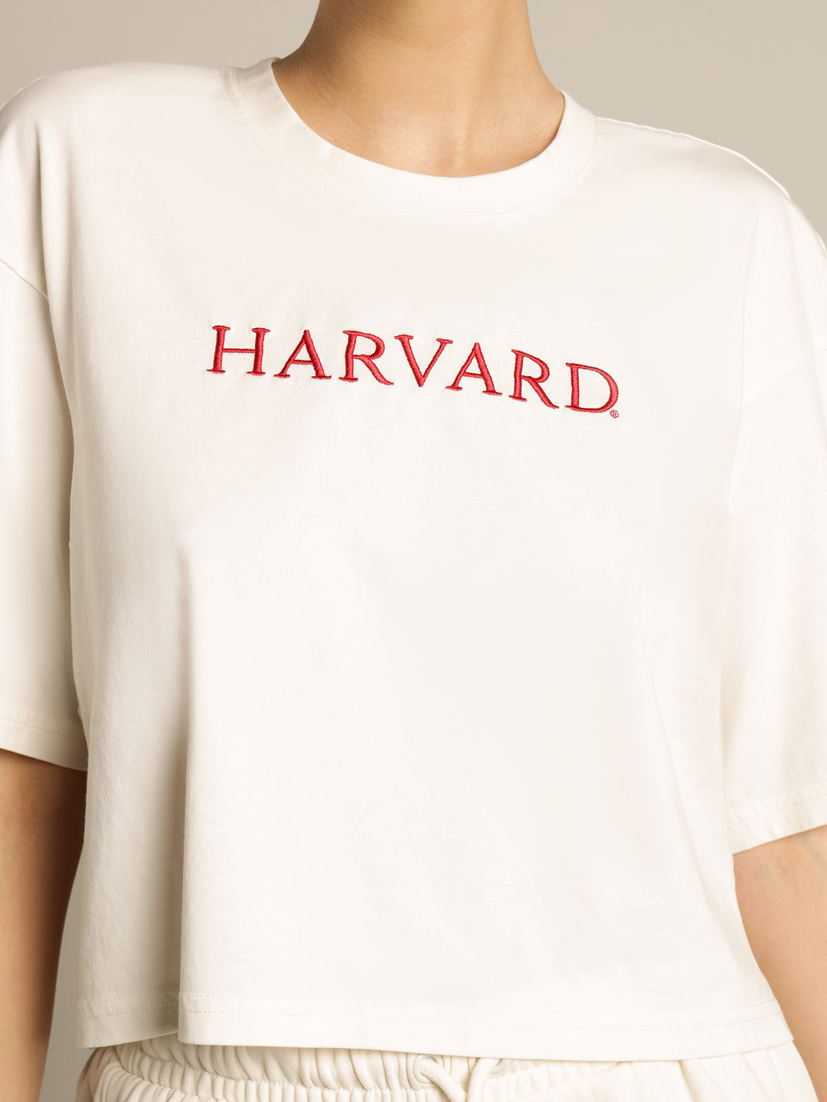 Harvard Primary Logo T-Shirt in Vintage White