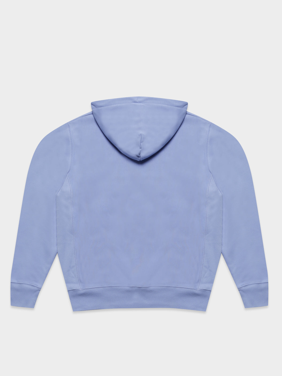 Champion Reverse Weave Hoodie | Light Blue