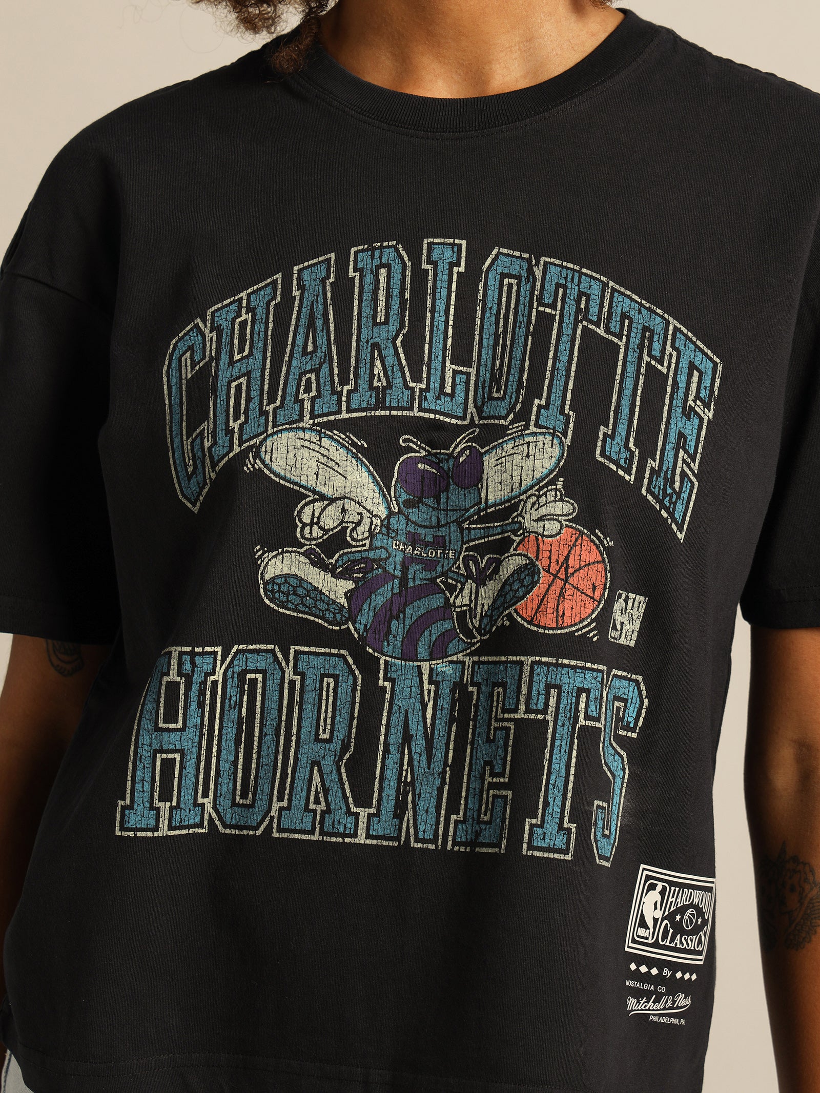 Vintage Charlotte Hornets Ivy Arch T-Shirt