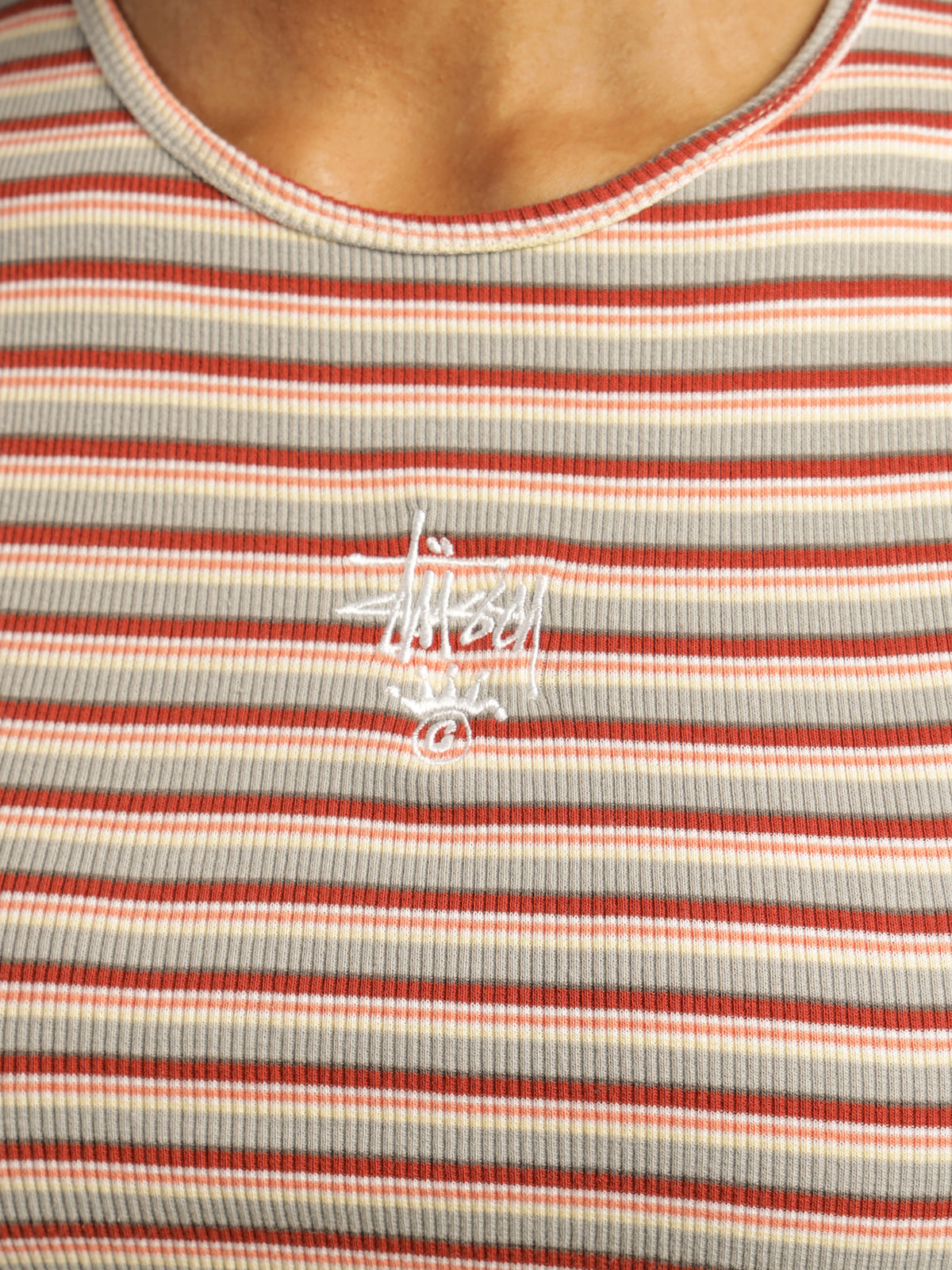 Rosada Stripe Fitted T-Shirt in Melon