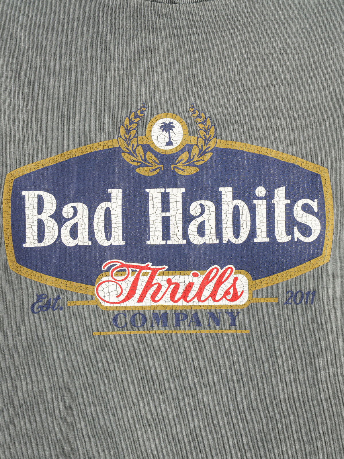 Bad Habits Die Hard Merch Fit T-Shirt in Airforce Blue