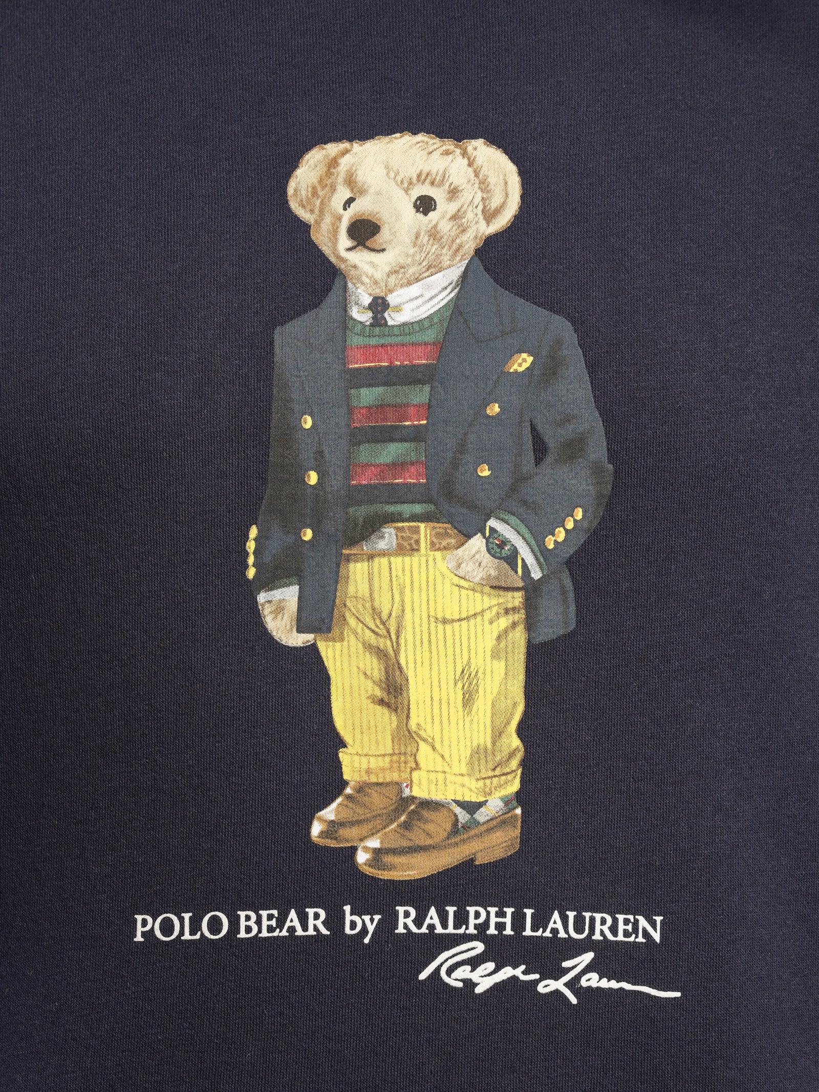 Polo Bear Fleece Hoodie