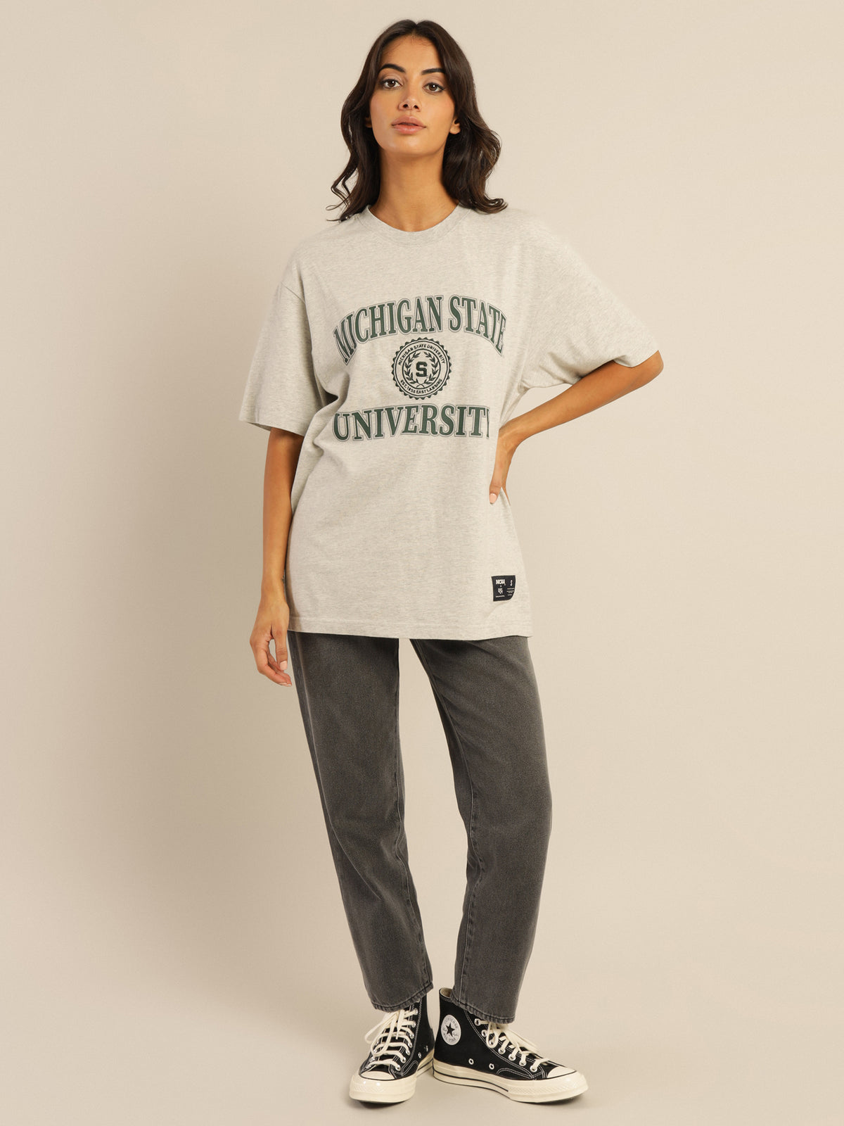 Michigan State University Reef Arch Logo T-Shirt in Vintage Grey Marle