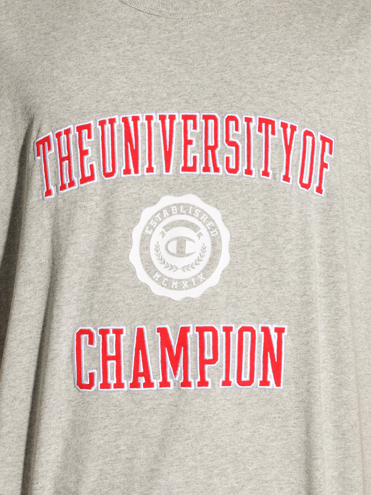 HT Champion Uni Short Sleeve T-Shirt in Grey