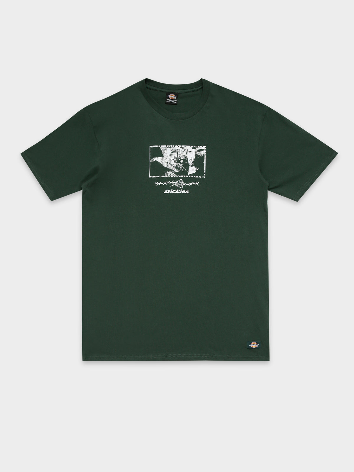 Texas Cat T-Shirt in Green