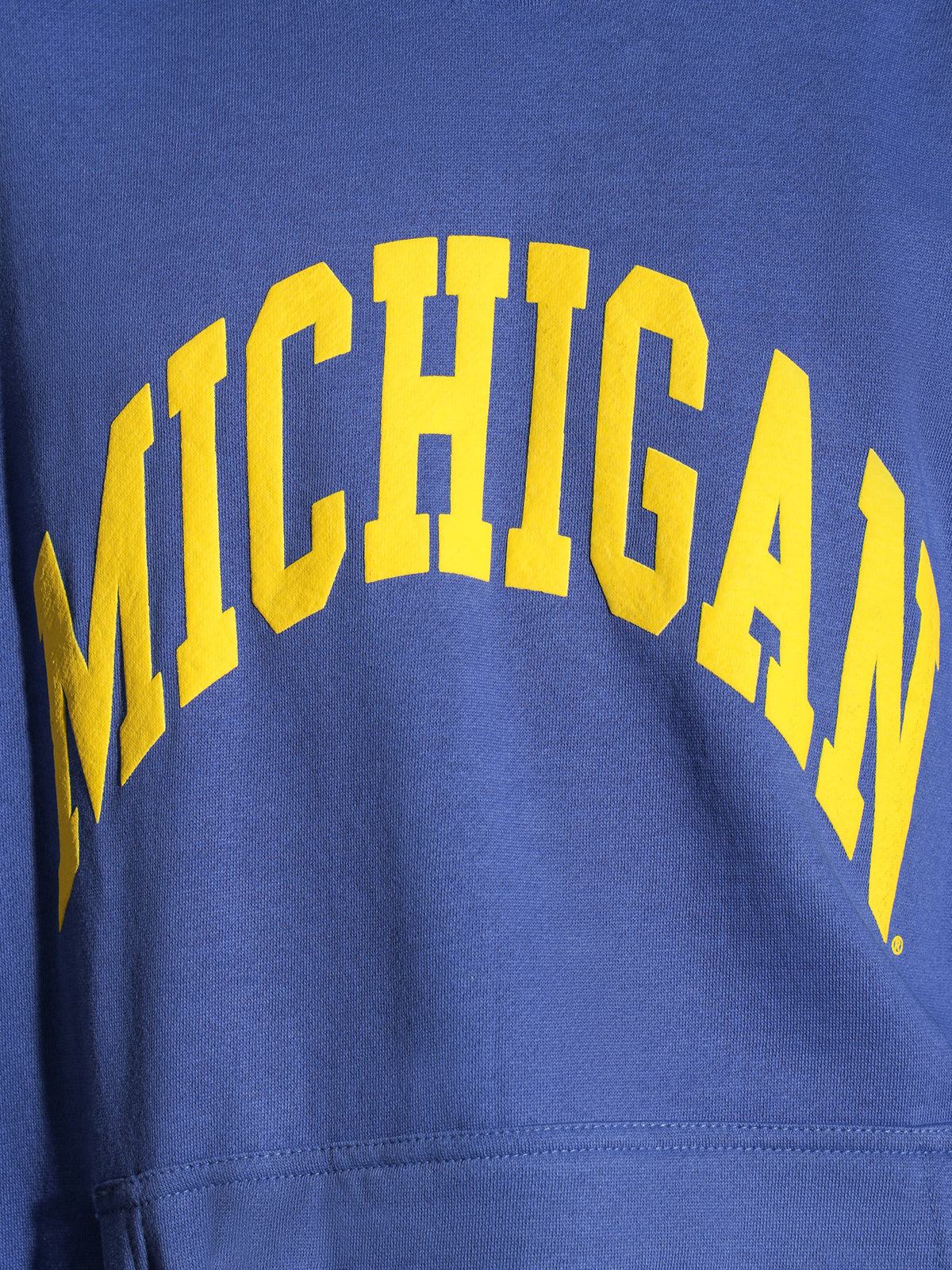 University Of Michigan Puff Print Pullover Hoodie in Royal Blue
