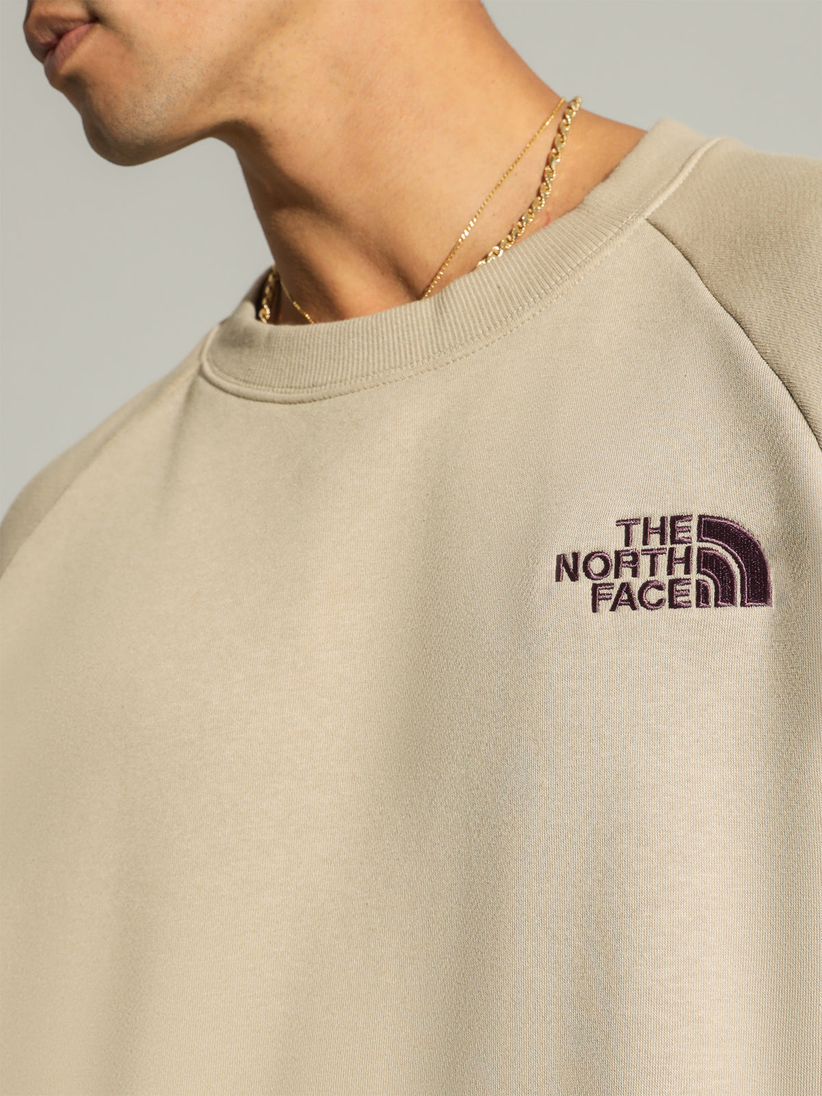 The North Face Sim Logo Crew | Flax