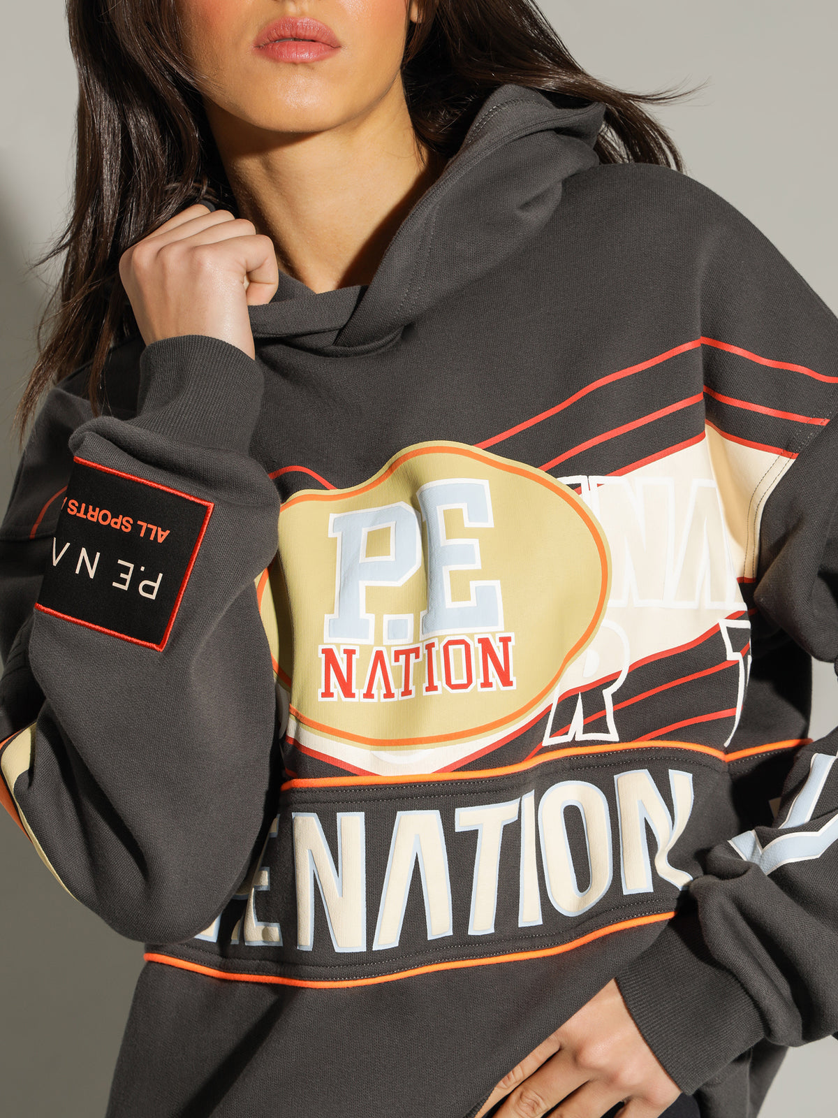 Pe Nation Rogue Hoodie | Dark Shadow