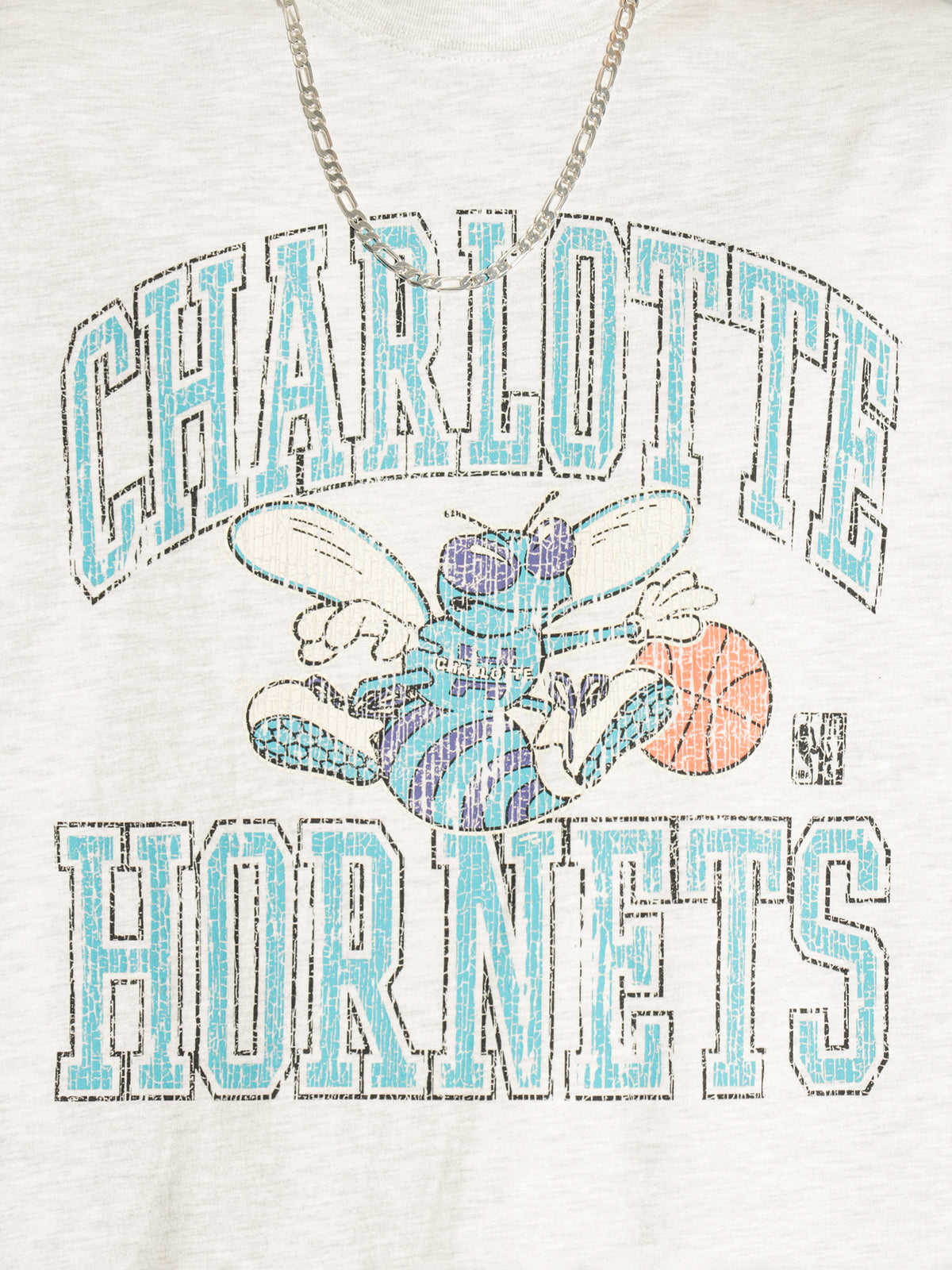 Charlotte Hornets T-Shirt in Snow Marle