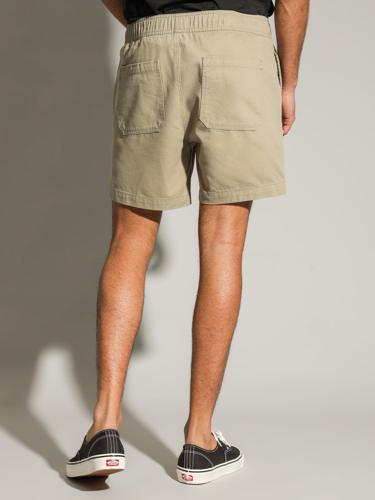 Article One Benzo Walk Shorts | Aloe