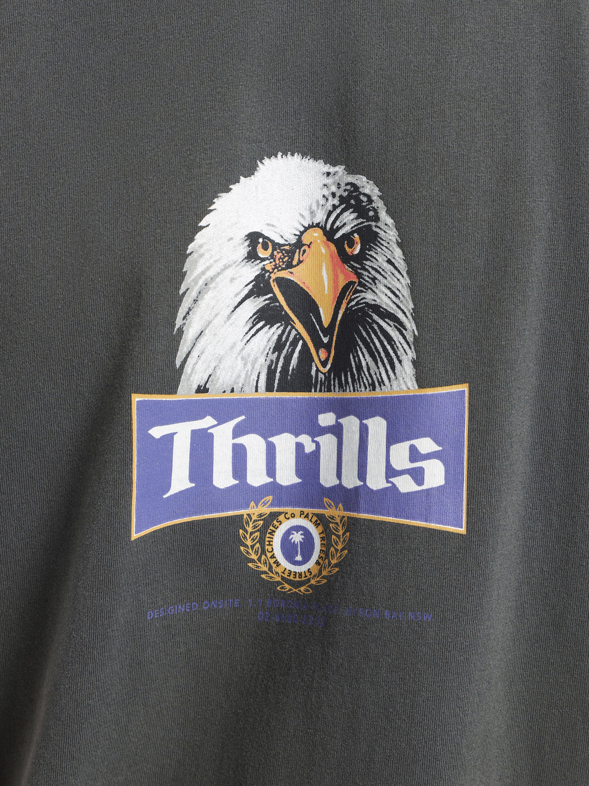 Thrills Rise Above Merch Fit T-Shirt | Black
