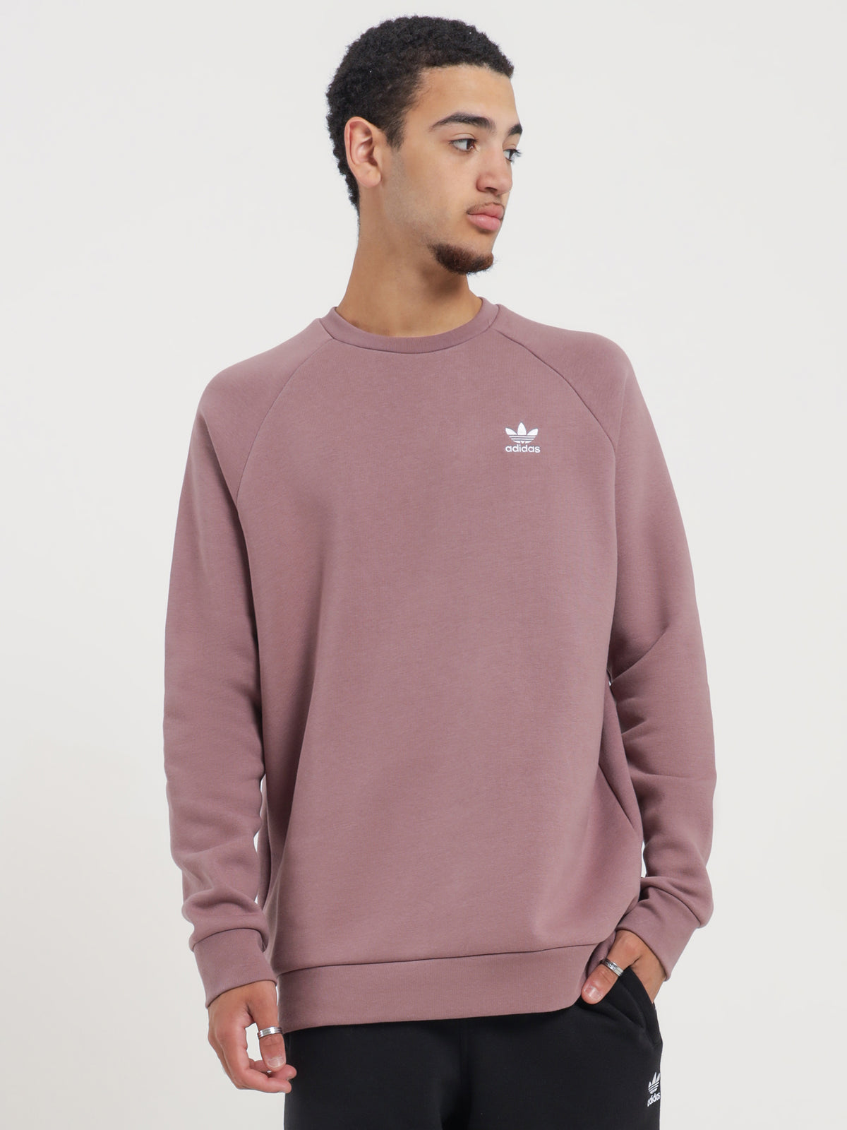 Adicolor Essentials Trefoil Crewneck Sweatshirt in Purple