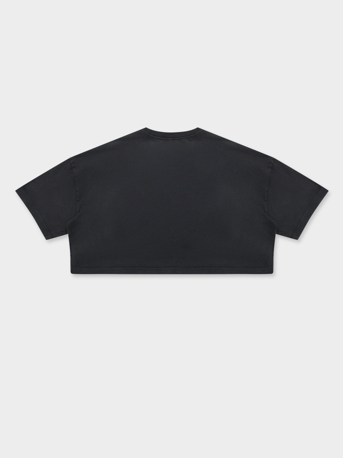 Sunbleached Champs Crop Boyfriend T-Shirt in Black
