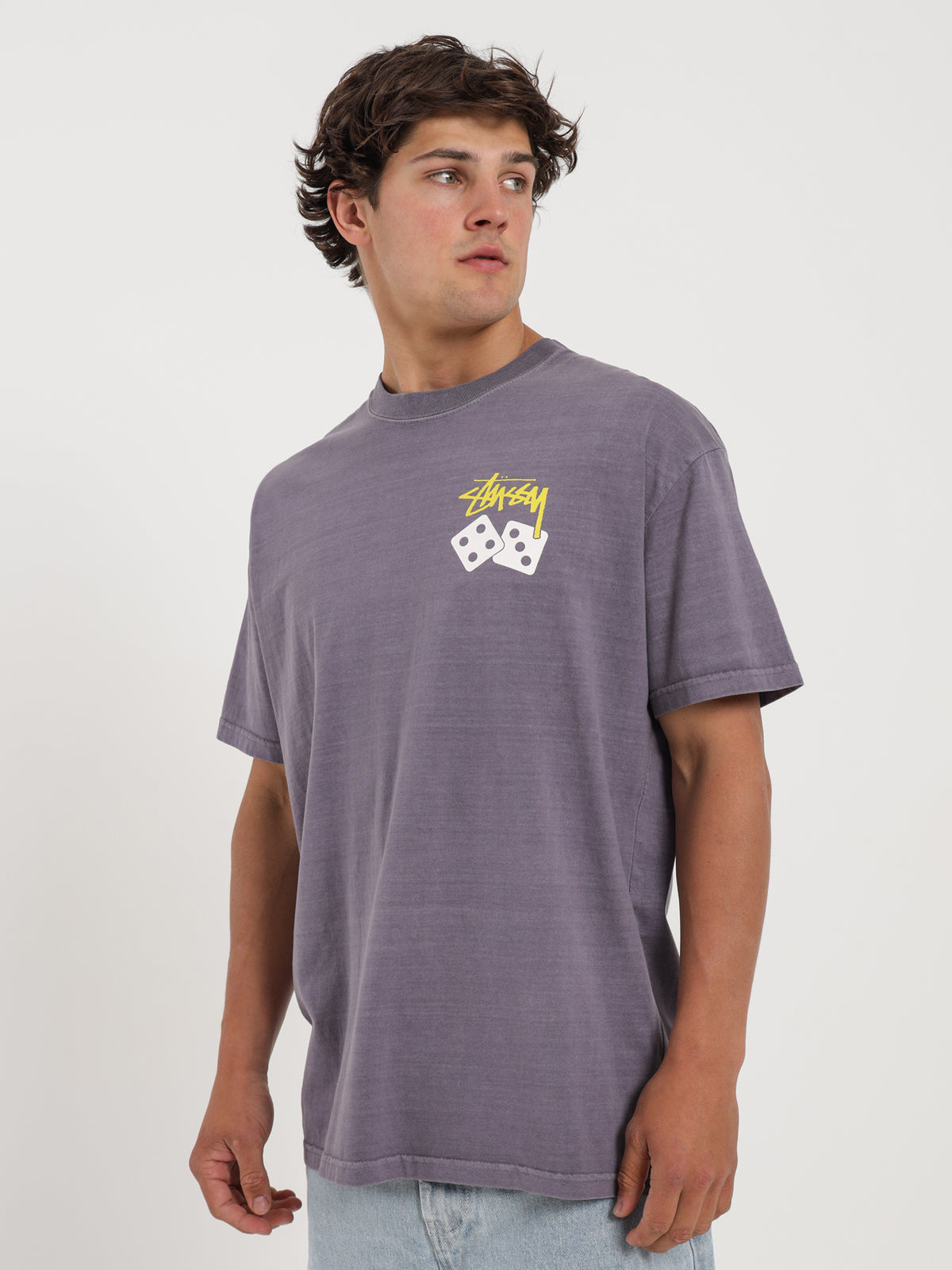 Colour Dice Heavyweight T-Shirt in Pigment Purple