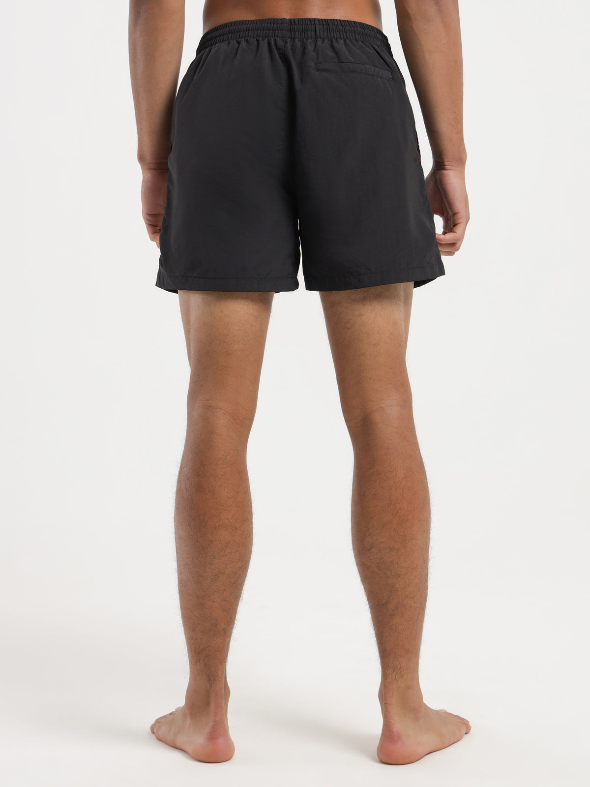 Stussy Curly S Watershorts | Black